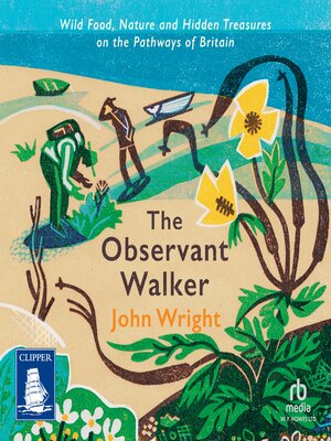 cover image of The Observant Walker
